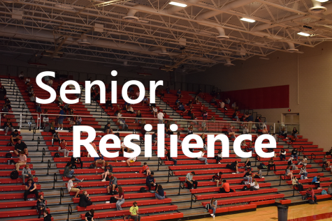 Senior Resilience
