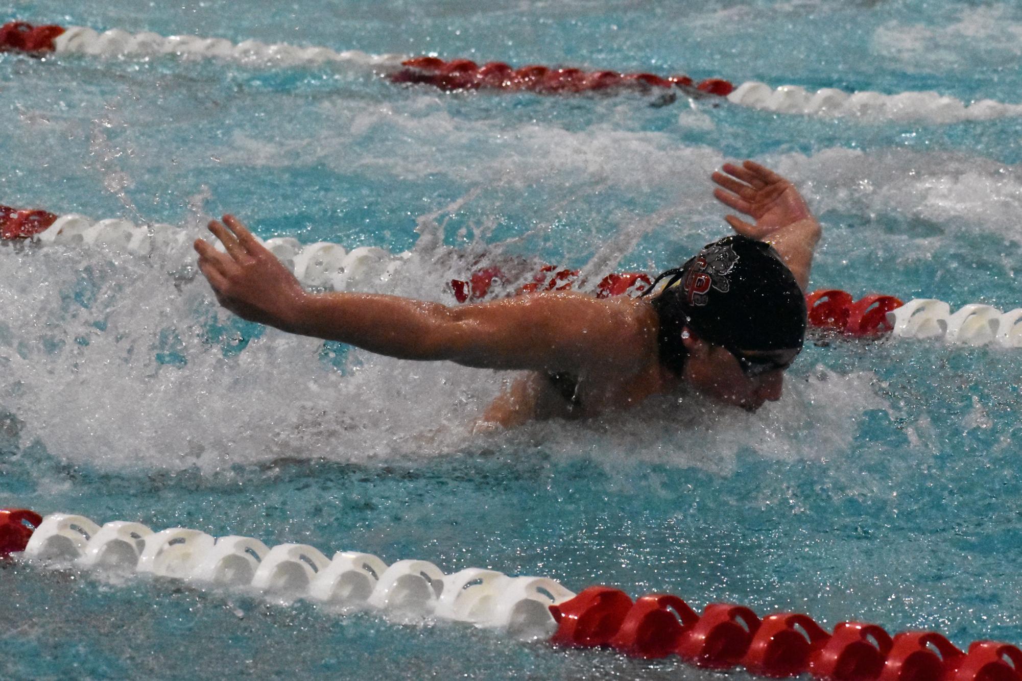 Senior Night Swims