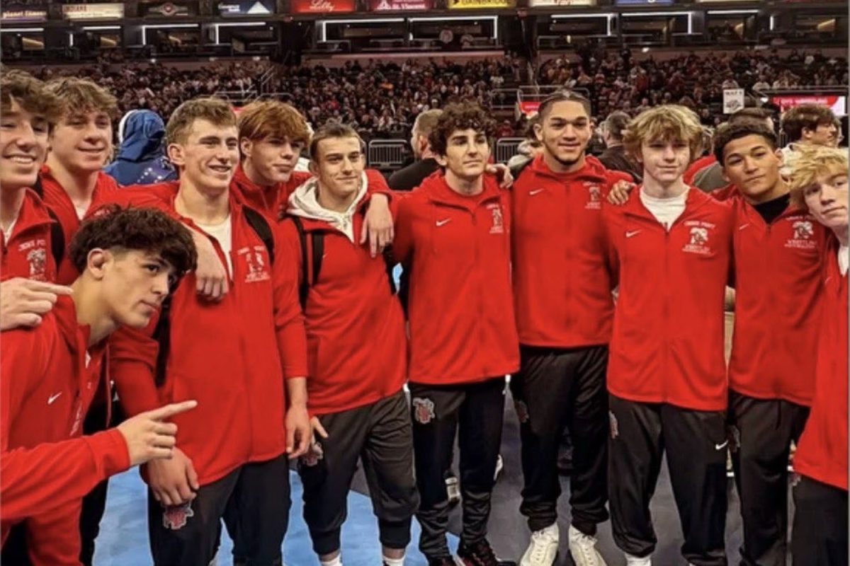 Proven on the Mat