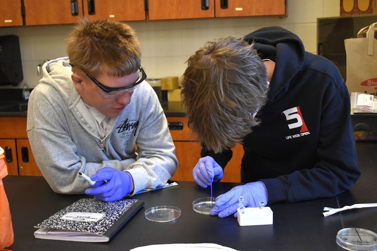Lou Keneson (9) and a classmate find the bacteria in their samples. 